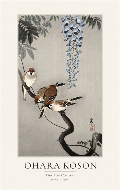Ohara Koson Wisteria and Sparrows No1 - Plakat