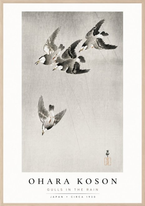 Ohara Koson Gulls in the Rain No3 - Plakat