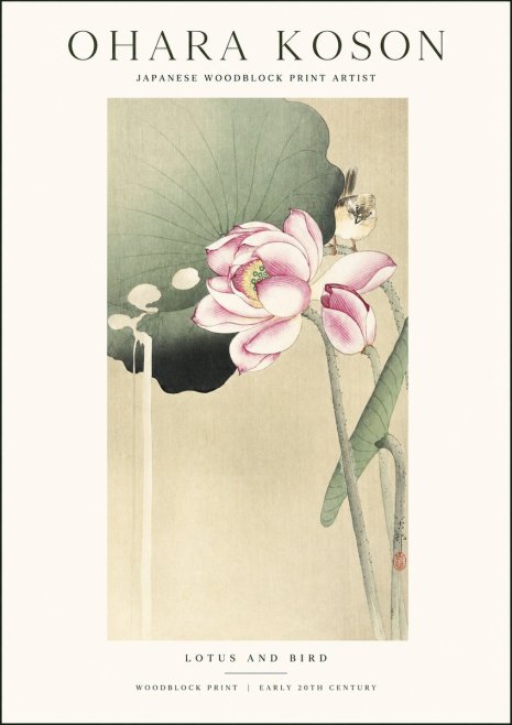 Ohara Koson Lotus and Bird No1 - Plakat