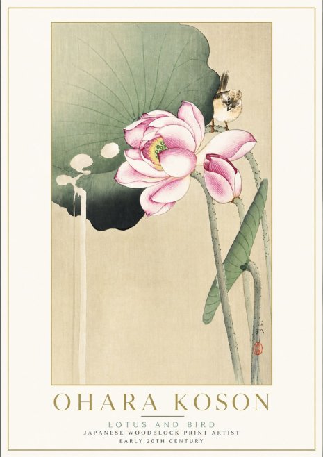 Ohara Koson Lotus and Bird No5 - Plakat