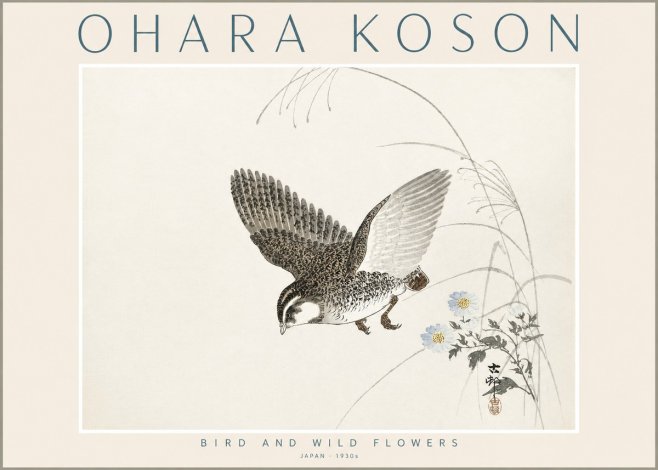 Ohara Koson Bird and Wild Flowers No2 - Plakat