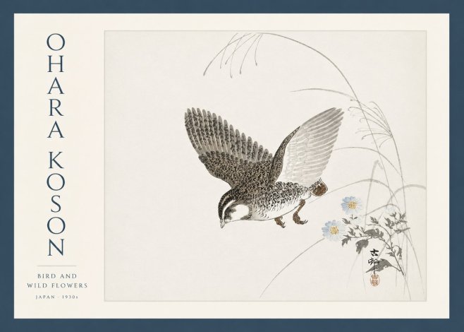 Ohara Koson Bird and Wild Flowers No3 - Plakat