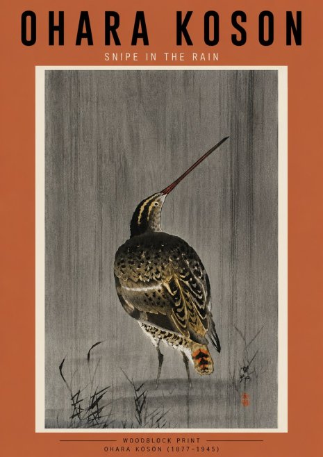 Ohara Koson Snipe in the Rain No5 - Plakat