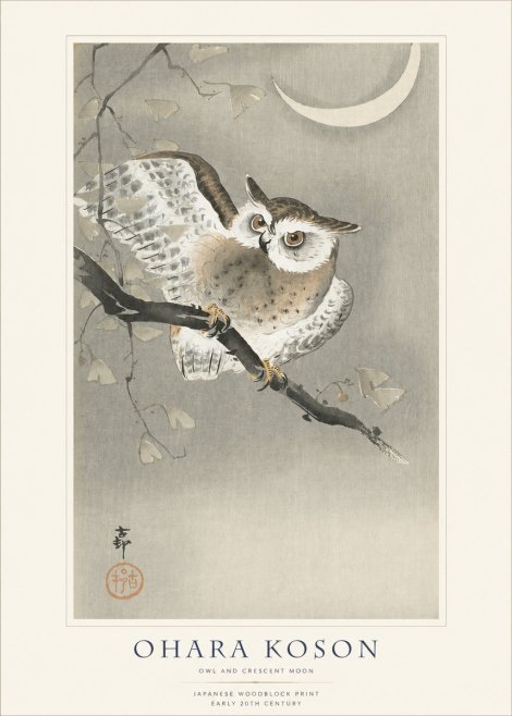 Ohara Koson Owl and Crescent Moon No1 - Plakat