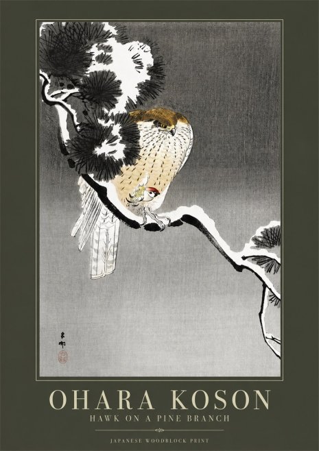 Ohara Koson Hawk on a Pine Branch No2 - Plakat