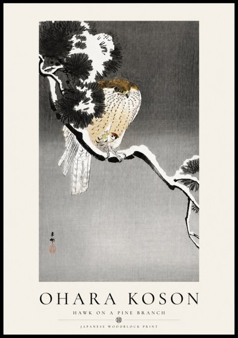 Ohara Koson Hawk on a Pine Branch No4 - Plakat