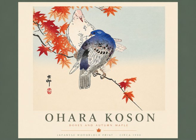 Ohara Koson Doves and Autumn Maple No4 - Plakat