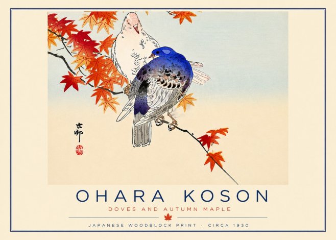 Ohara Koson Doves and Autumn Maple No6 - Plakat