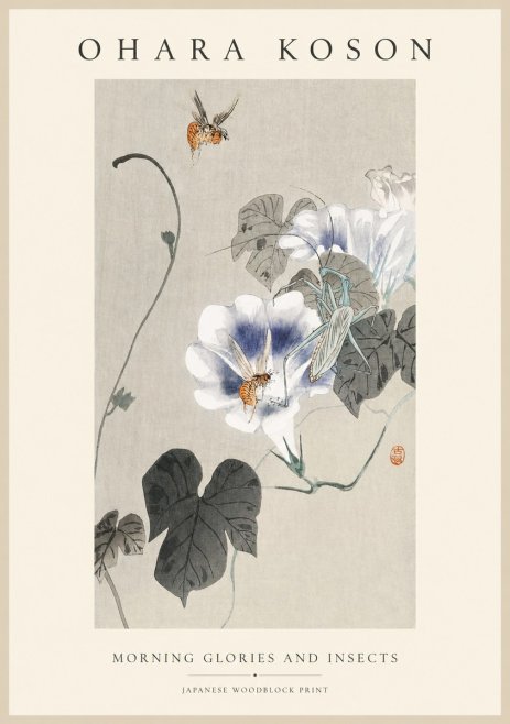 Ohara Koson Morning Glories and Insects No1 - Plakat