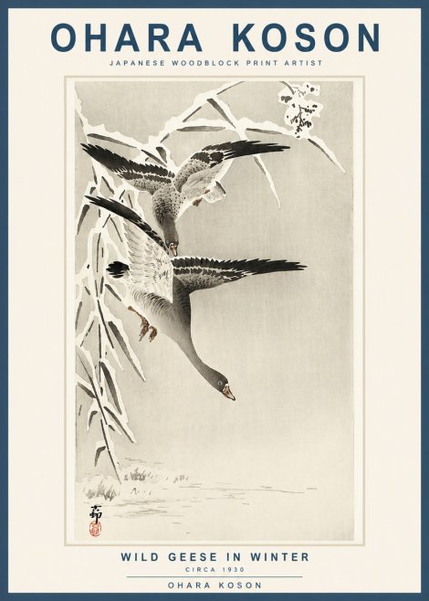 Ohara Koson Wild Geese in Winter No3 - Plakat