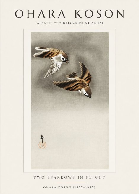 Ohara Koson Two Sparrows in Flight No1 - Plakat