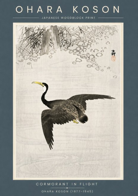 Ohara Koson Cormorant in Flight No6 - Plakat