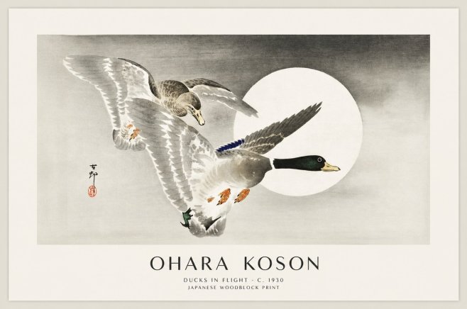 Ohara Koson Ducks in Flight No1 - Plakat