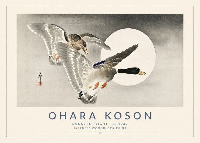 Ohara Koson Ducks in Flight No5 - Plakat