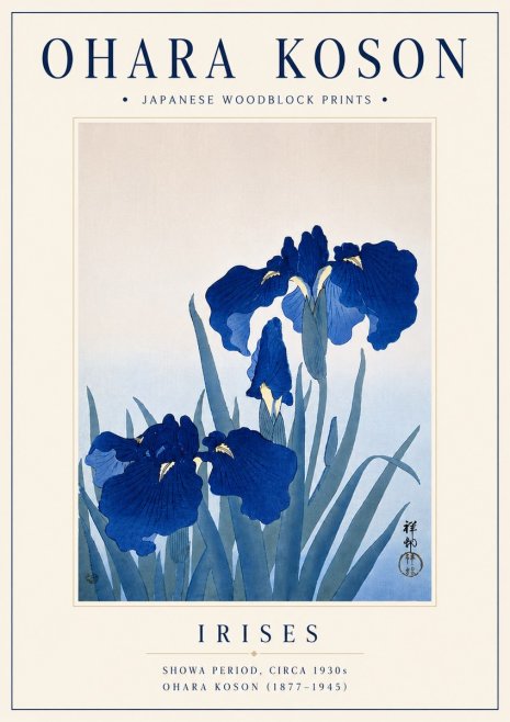 Ohara Koson Iris Es No6 - Plakat