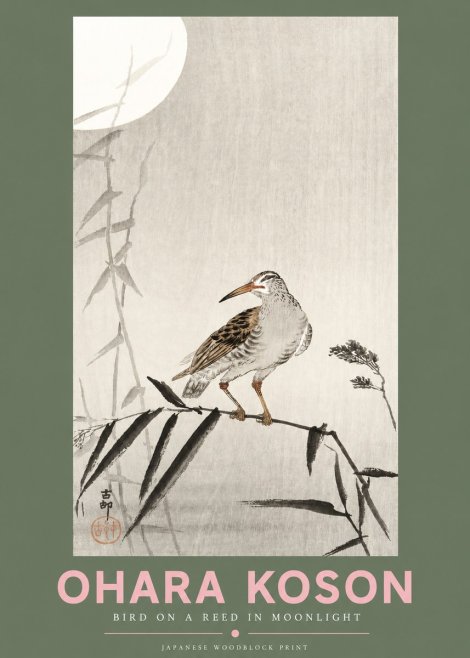 Ohara Koson Bird on a Reed in Moonlight No3 - Plakat