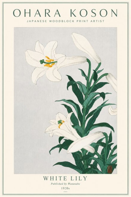 Ohara Koson White Lily No3 - Plakat