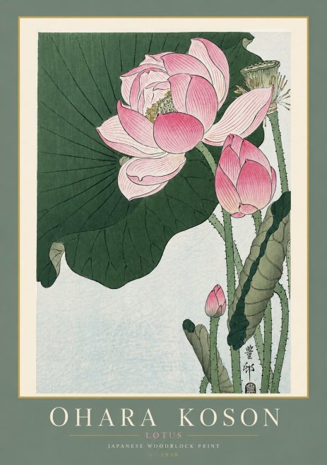 Ohara Koson Lotus II No4 - Plakat