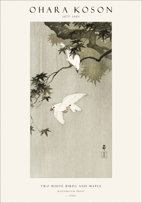 Ohara Koson Two White Birds and Maple No1 - Plakat