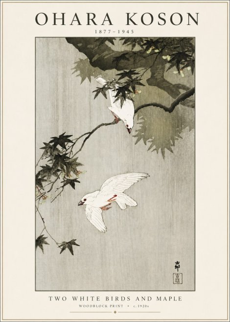 Ohara Koson Two White Birds and Maple No3 - Plakat