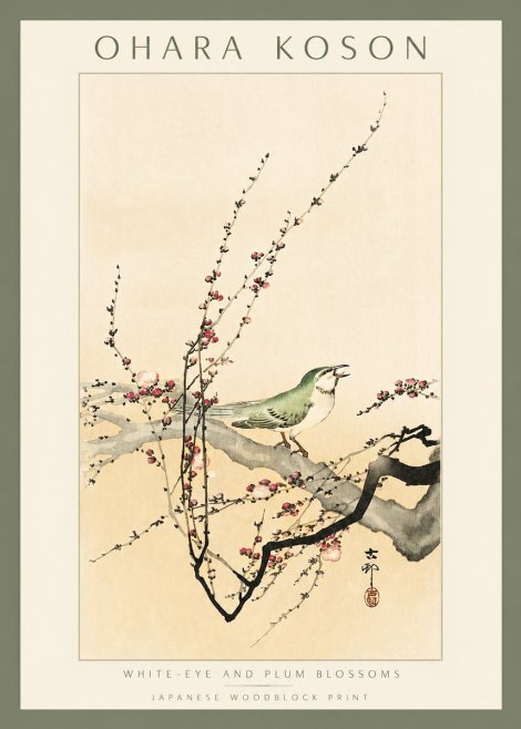 Ohara Koson White-eye and Plum Blossoms No2 - Plakat