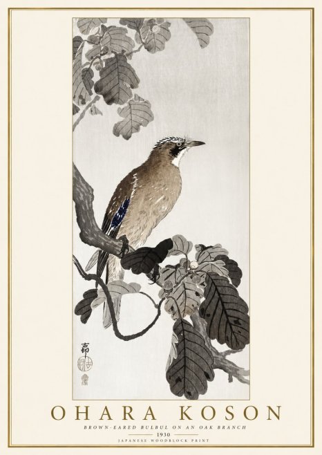 Ohara Koson Brown-eared Bulbul on an Oak Branch No1 - Plakat