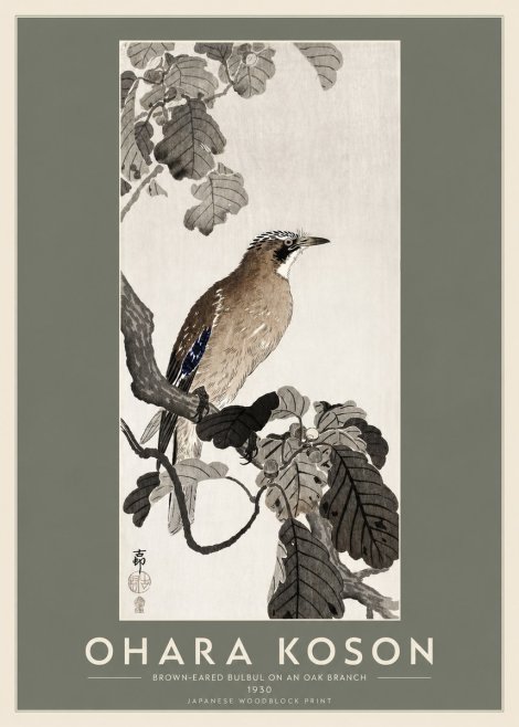 Ohara Koson Brown-eared Bulbul on an Oak Branch No2 - Plakat