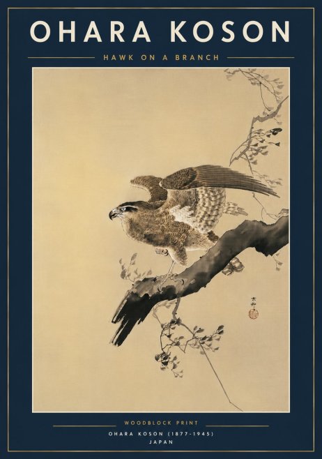 Ohara Koson Hawk on a Branch I No6 - Plakat