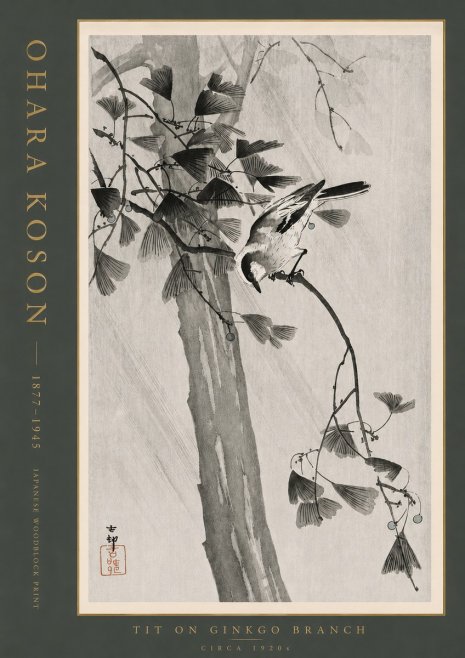 Ohara Koson Tit on Ginkgo Branch No4 - Plakat