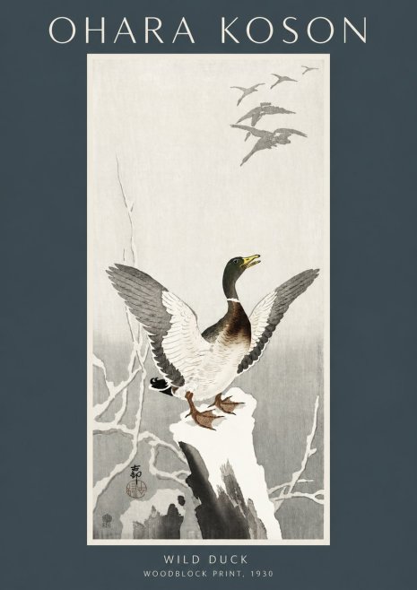 Ohara Koson Wild Duck No2 - Plakat