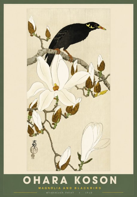 Ohara Koson Magnolia and Blackbird No2 - Plakat