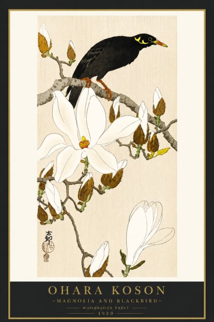 Ohara Koson Magnolia and Blackbird No4 - Plakat