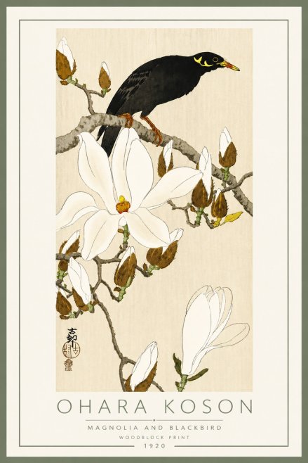 Ohara Koson Magnolia and Blackbird No5 - Plakat