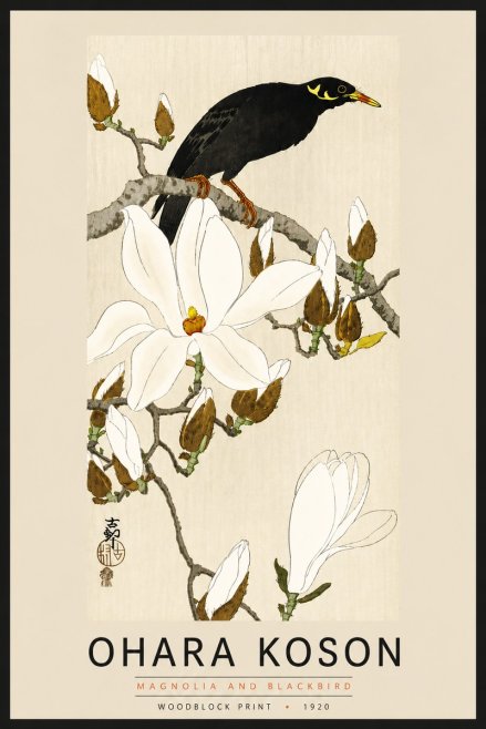 Ohara Koson Magnolia and Blackbird No6 - Plakat