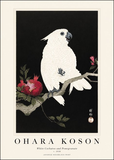 Ohara Koson White Cockatoo and Pomegranate I No1 - Plakat