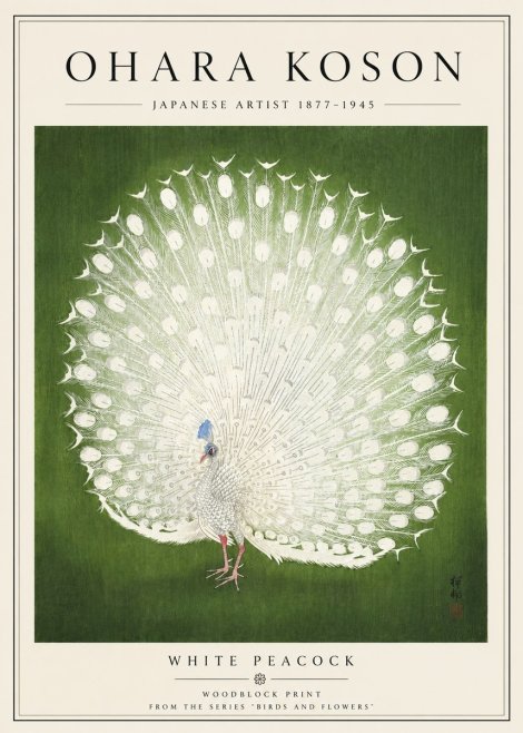Ohara Koson White Peacock No5 - Plakat