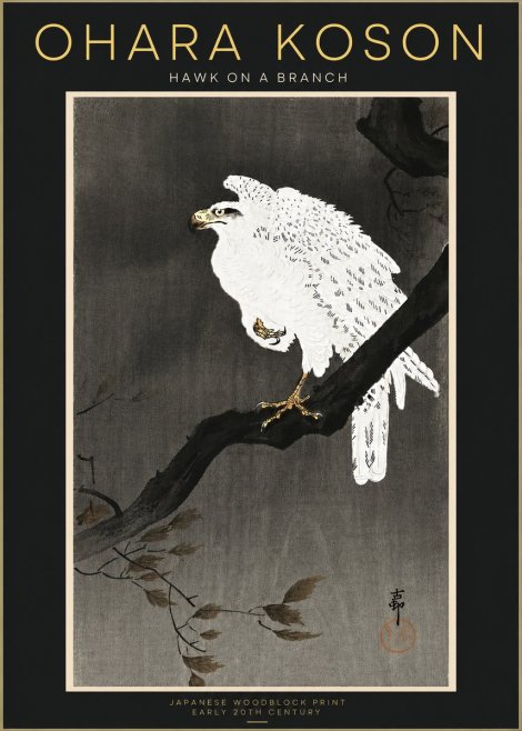 Ohara Koson Hawk on a Branch II No4 - Plakat
