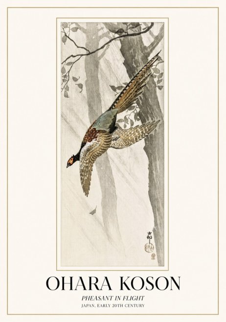 Ohara Koson Pheasant in Flight No1 - Plakat