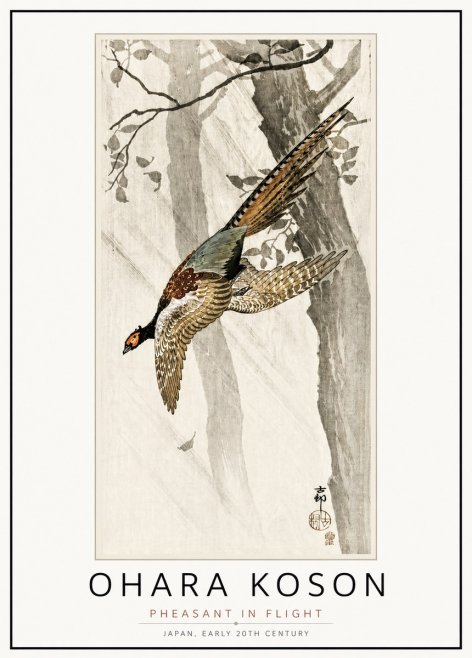 Ohara Koson Pheasant in Flight No4 - Plakat