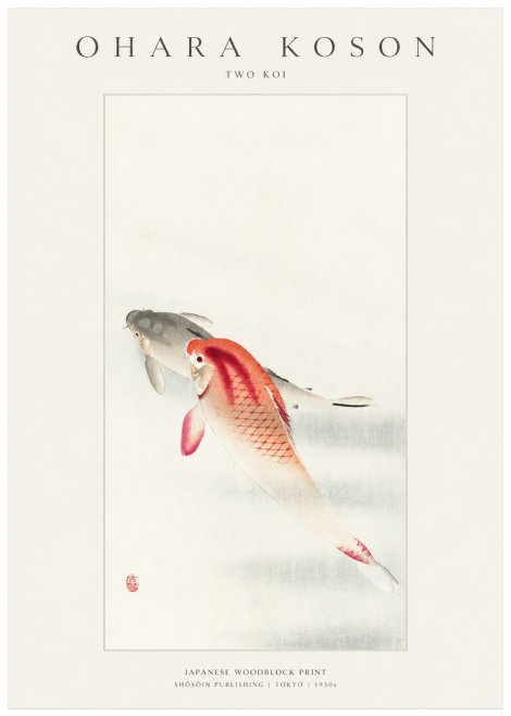 Ohara Koson Two Koi II No1 - Plakat