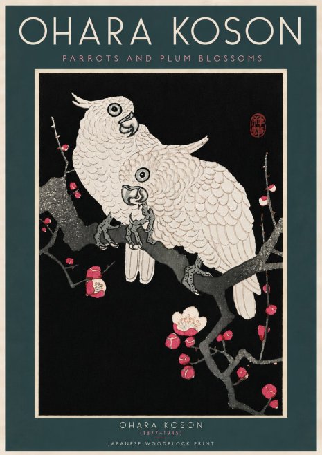 Ohara Koson Parrots and Plum Blossoms No6 - Plakat