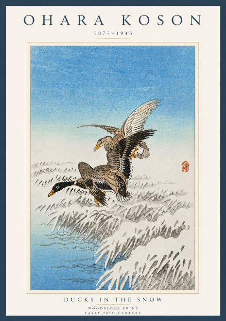 Ohara Koson Ducks in the Snow No4 - Plakat