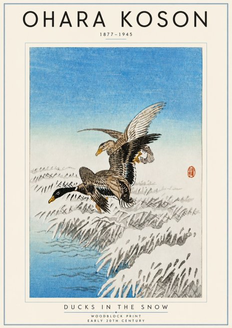 Ohara Koson Ducks in the Snow No5 - Plakat