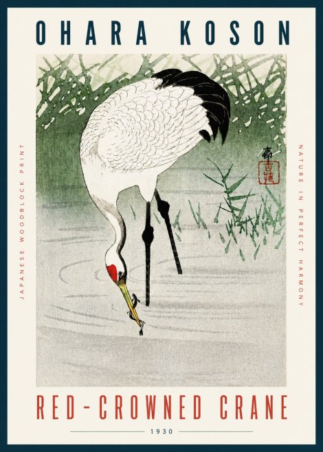 Ohara Koson Red-crowned Crane No4 - Plakat