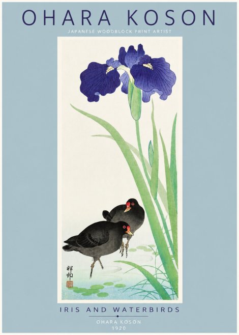 Ohara Koson Iris and Waterbirds No2 - Plakat