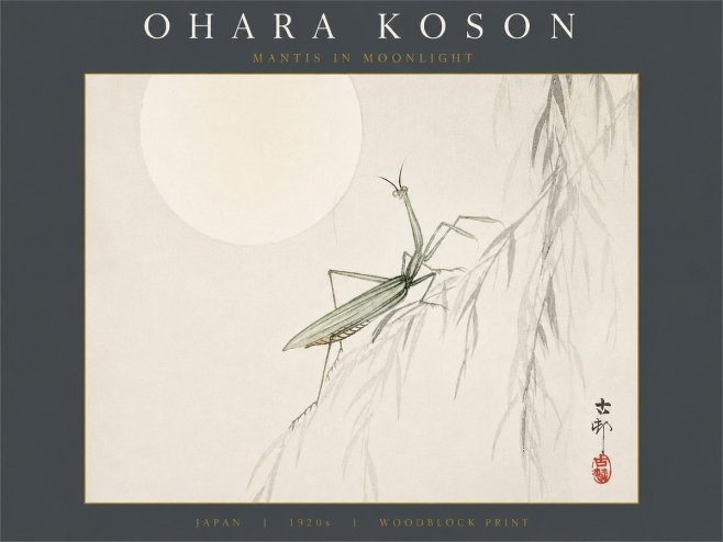 Ohara Koson Mantis in Moonlight No6 - Plakat