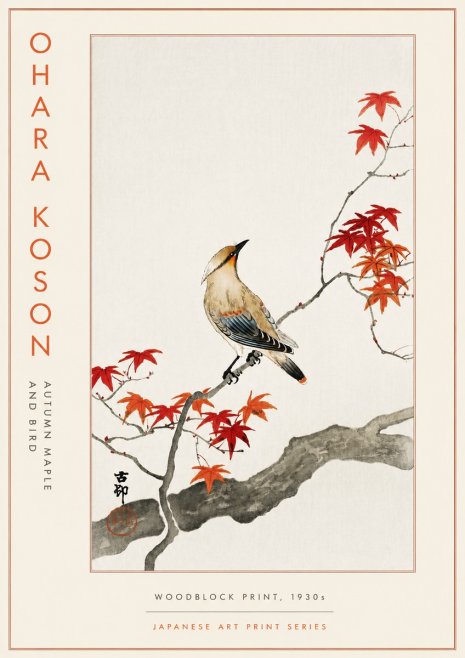 Ohara Koson Autumn Maple and Bird No5 - Plakat