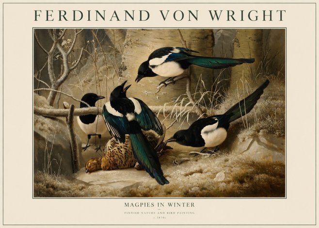 Ferdinand von Wright Magpies in Winter No1 - Plakat