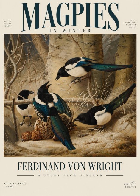 Ferdinand von Wright Magpies in Winter No6 - Plakat
