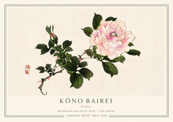 Kōno Bairei Peony I No3 - Plakat